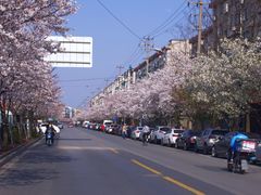 -永乐路-路侧停车场