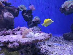 -北海·海洋之窗