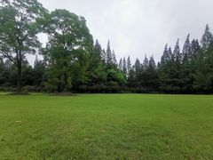 -上海滨江森林公园