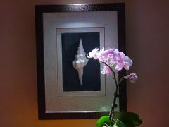 -金河半岛园林酒家(金融城店)