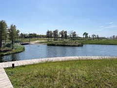 -春花秋色城市公园