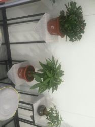 -痘博士天津·全国连锁祛痘机构