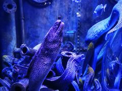 -成都浩海立方海洋公园