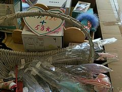 -70cat德文卷毛猫·缅因猫纯种猫舍