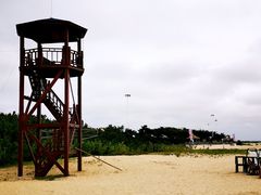-日照海滨国家森林公园