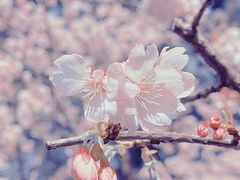 -静安雕塑公园