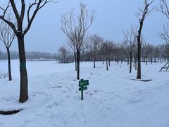 -东郊湿地公园