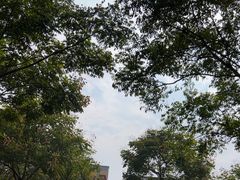-黄陂区野村谷景区