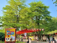 -珠海圆明新园