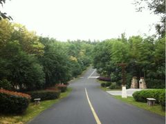 iphone_upload_pic-天目湖涵田度假村