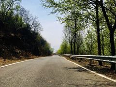 -阳台山自然风景区