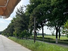 -汉长安城未央宫国家考古遗址公园