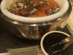 清蒸珍珠斑-福州西湖大酒店·怡湖咖啡厅