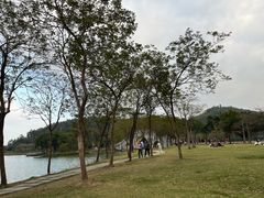 -顺峰山公园