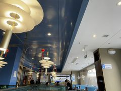 -大锅强·蒸海鲜青岛菜(金沙滩店)