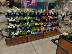 -优衣库(银座店)