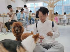 -Heymao猫咖.咖啡厅(东门店)