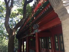 -北京鹫峰国家森林公园