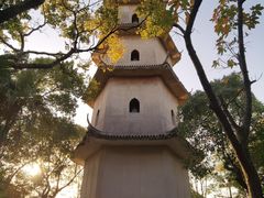 -江心屿景区