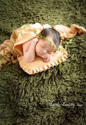 -菲啦城堡高端儿童摄影会所(武夷商业城店)