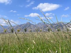 -敕勒川草原文化旅游区