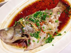 清蒸鲈鱼-眉州东坡(远洋未来广场店)