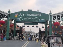 -荷兰花海