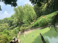 -虹迎轩·中餐厅(虹桥迎宾馆店)