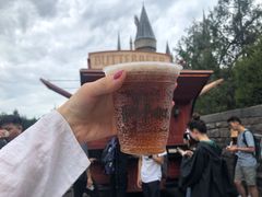 -哈利波特魔法世界