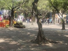 -观澜湖生态运动公社