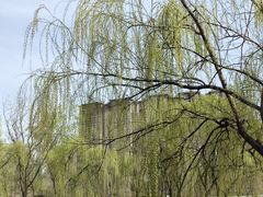 -西安汉城湖景区
