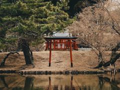 -奈良公园