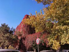 -辽宁大学(崇山校区)