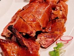 -圆苑(兴国路店)