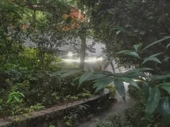 -燕晗山郊野公园