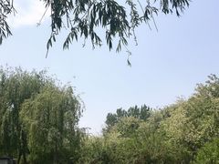 -东坝千亩湖公园