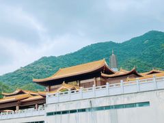 -深圳仙湖植物园