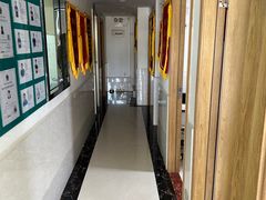 -乐琪宠物医院·犬猫专科·骨外科·急重症