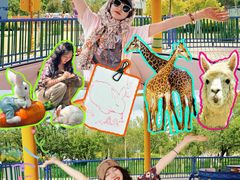 -水上乐园·欢乐世界