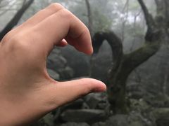 -浙北大峡谷