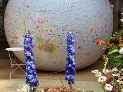 -上海长风大悦城