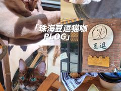 -豆逗聊愈猫阁Easy Life