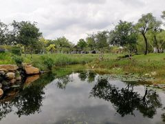 -海珠儿童公园