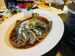 青椒小葱多宝鱼-泛太平洋大酒店·海天楼中餐厅·粤菜