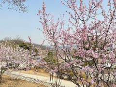 -北京西山国家森林公园