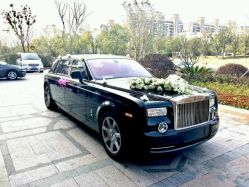 -蚂蚁婚车