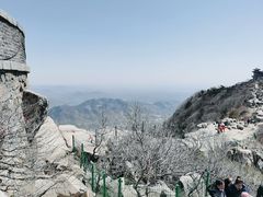 -泰山风景名胜区