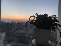 -久匠半永久纹眉