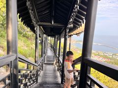 -石老人观光园