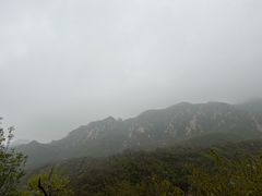 -大岭沟猕猴桃谷风景区